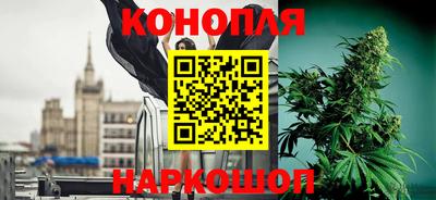 сатива Краснодар