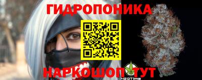 сатива Краснодар