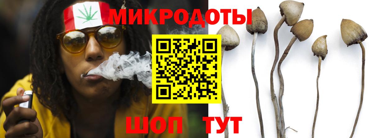 Галлюциногенные грибы Magic Shrooms Касимов
